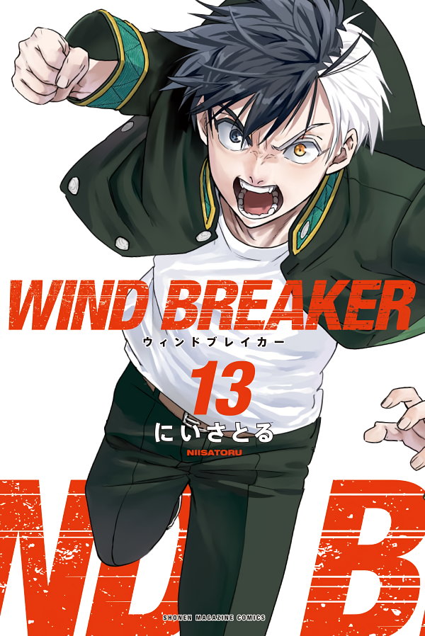 Wind Breaker